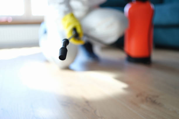 Best Forensic Mold Investigation  in Sayre, PA